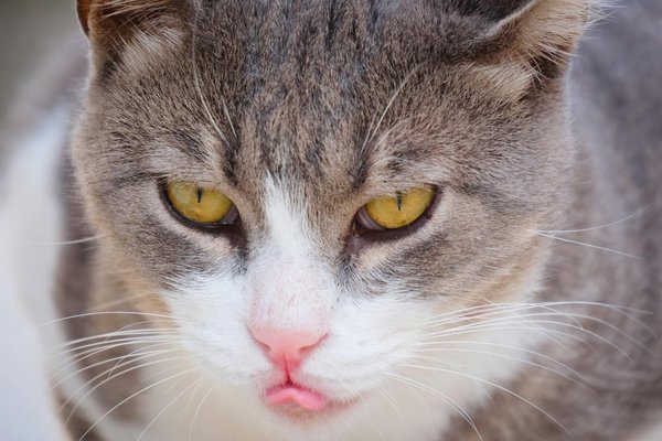 Come ottenere finanziamenti per la tua azienda?